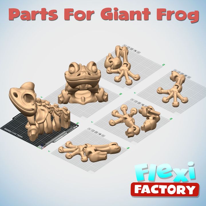 3D Printable Exclusive: Flexi Factory Skeleton Frog by Flexi Factory